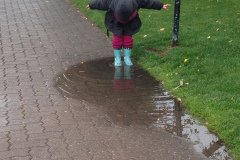 IMG_2920